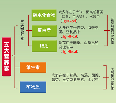 腦梗患者飲食指南 豆類與薯類的科學(xué)補(bǔ)充